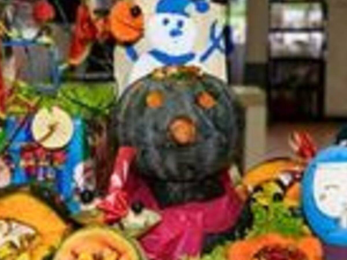 Animales del zoológico de Cali tendrán su regalo de navidad