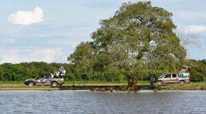 Safari LLanero, ejemplo de Sostenibilidad en Colombia