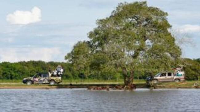 Safari LLanero, ejemplo de Sostenibilidad en Colombia