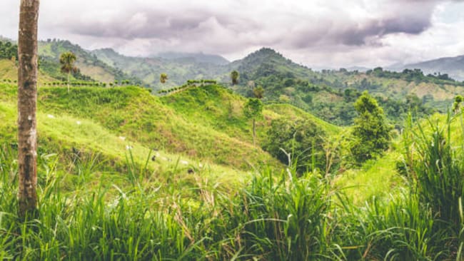 Sierra Nevada de Santa Marta/ Getty Images