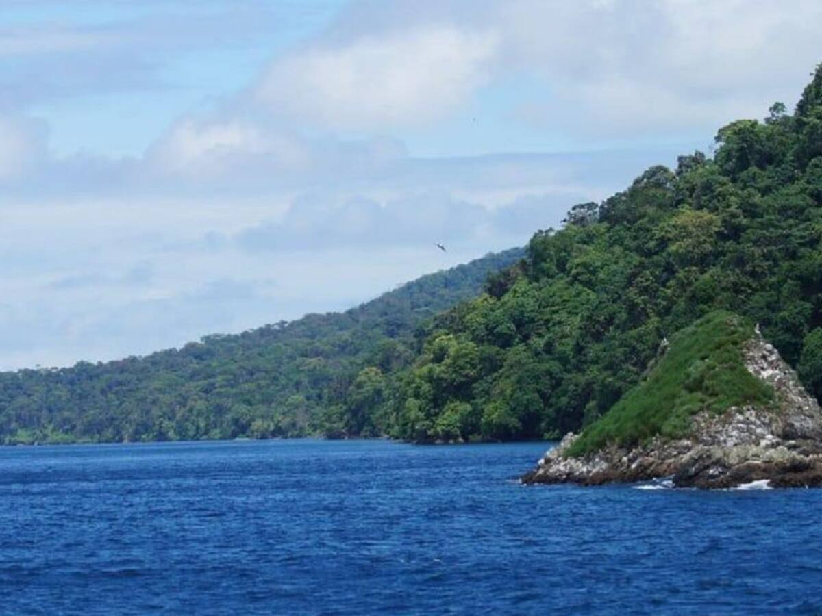 Se reactiva el ecoturismo en Malpelo y Gorgona