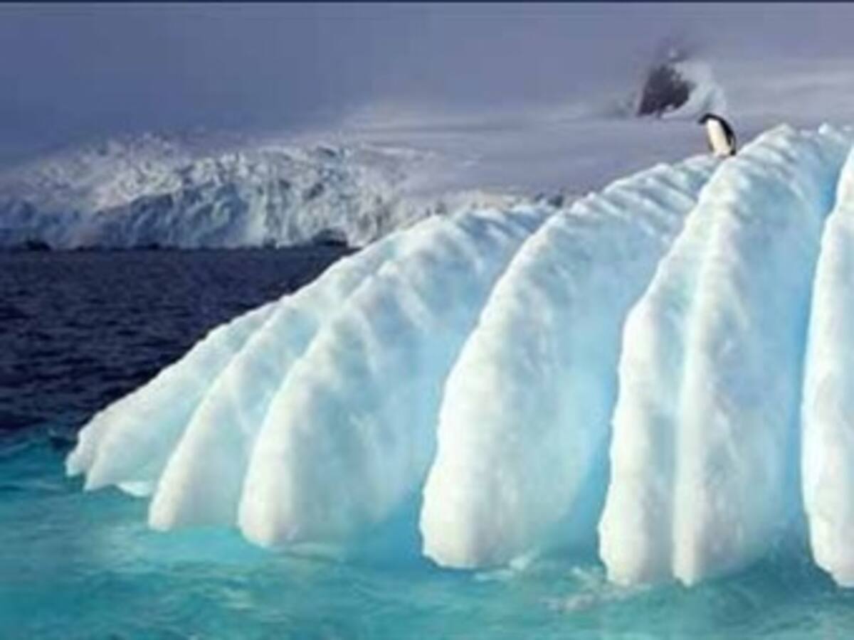 Mexicanos descubren técnicas para elevar crecimiento y fortaleza de árboles