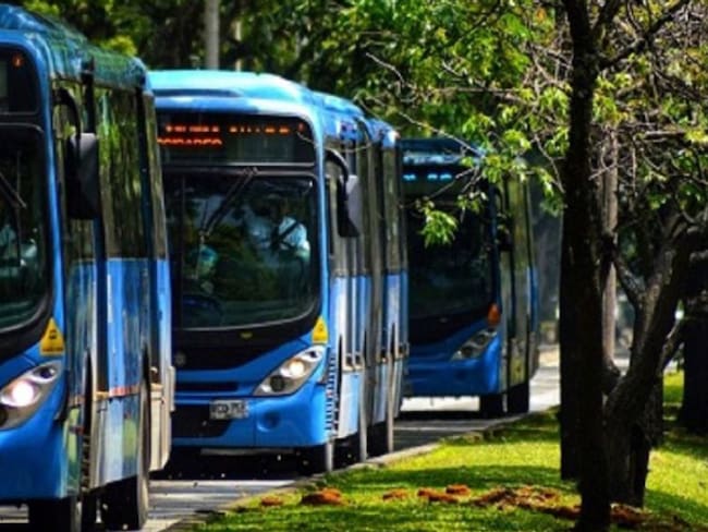 Nueve buses eléctricos llegan de China para mejorar el servicio del Mío