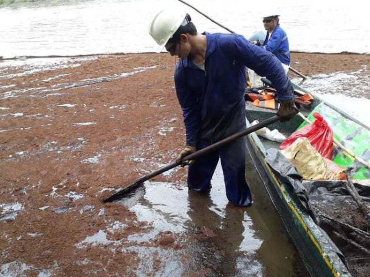La naturaleza se recuperará sola del derrame de Crudo: ONU Medio Ambiente