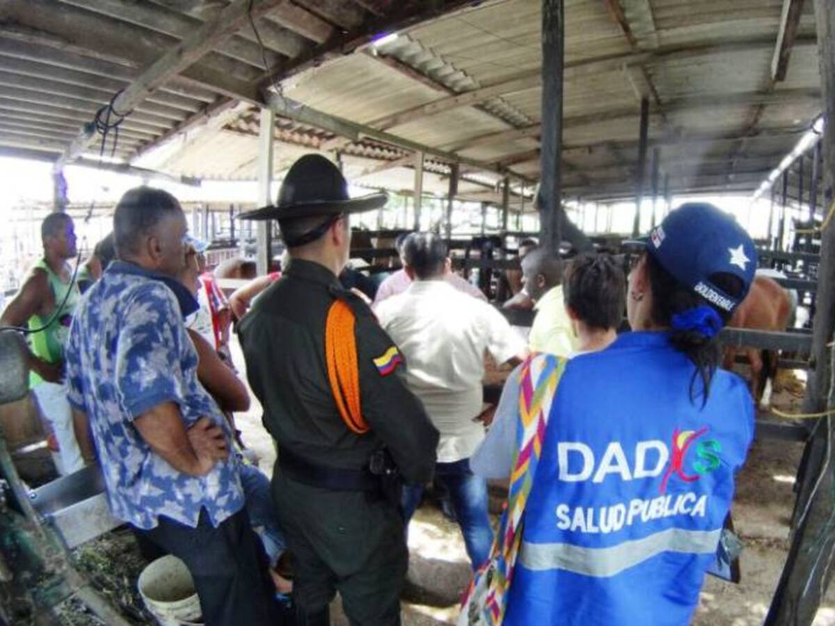 Distrito clausura 12 pesebreras en Chambacú y Marbella, y decomisa 2 caballos