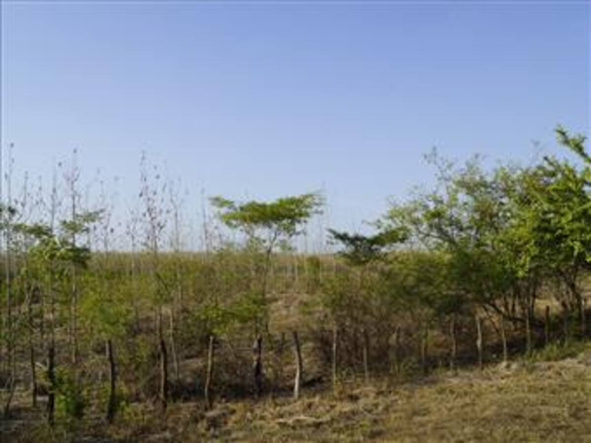 Defensoría del Pueblo advierte sobre riesgos por fenómeno de El Niño