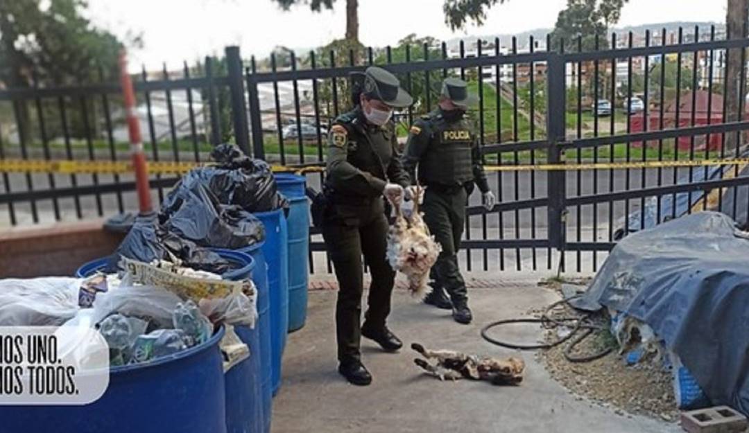 Policía Metropolitana de Bogotá / Colprensa 