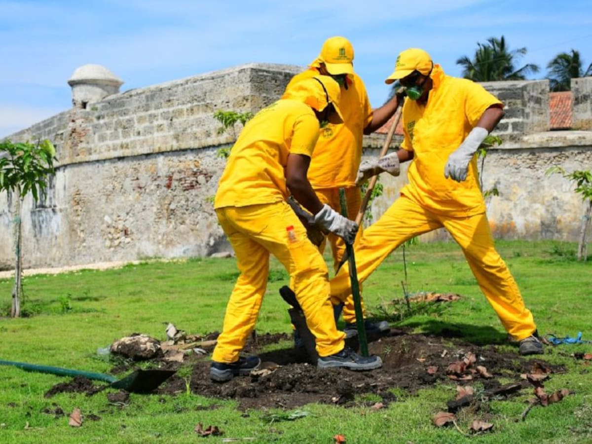 Escuela Taller Cartagena de Indias abre convocatoria para cursos básicos