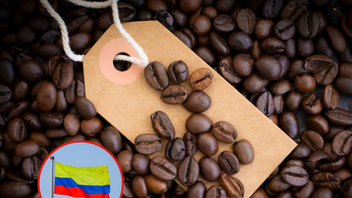 Precio del café en Colombia HOY, miércoles 21, carga de 125 kg: así se define el valor la FNC
