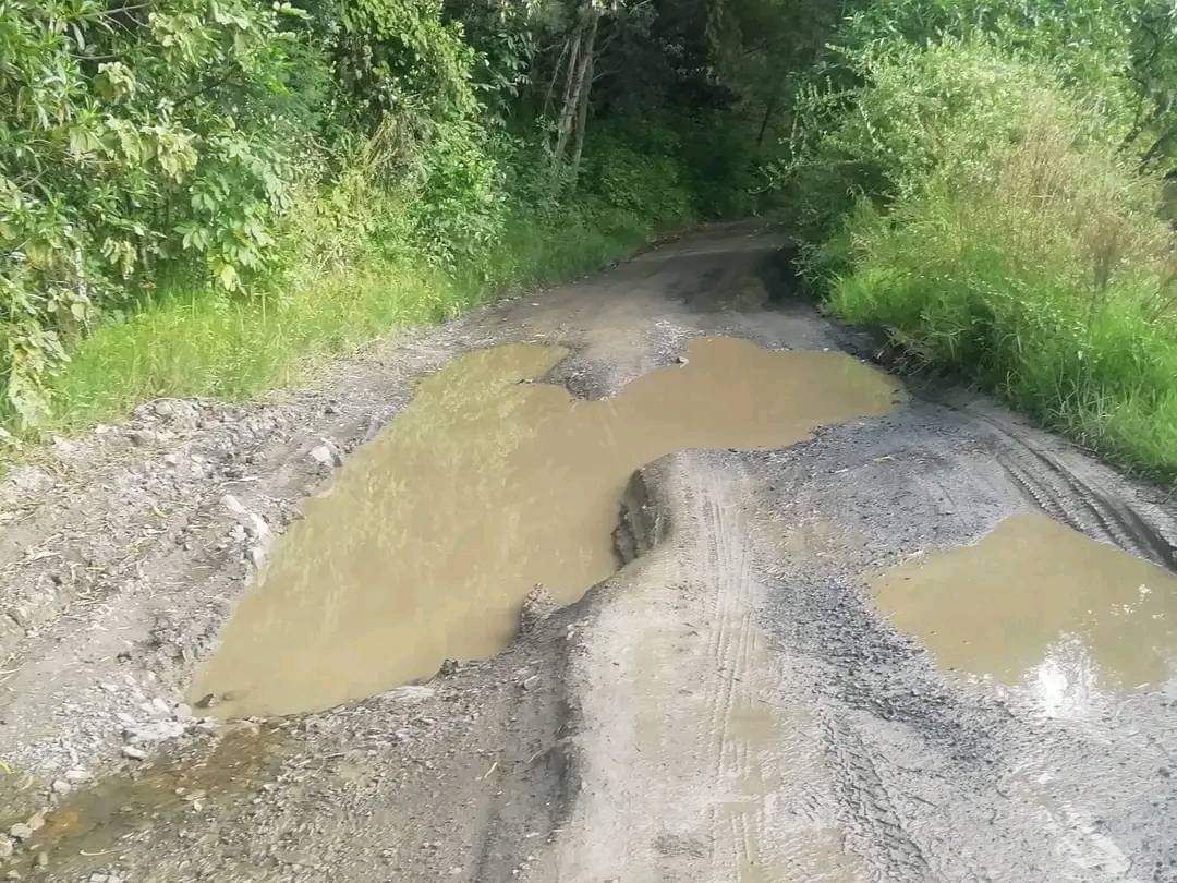 Estado de la vía que conduce a las veredas de Sauzal y Cabuyal en Boavita /Cortesía