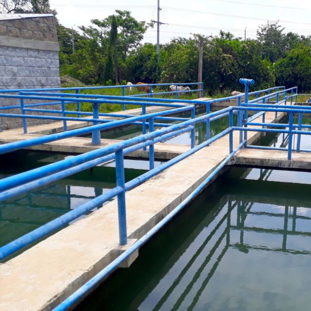 Alcaldía de Pereira subsidiará las facturas de los acueductos rurales