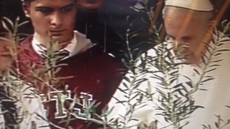 Papa Francisco bendice olivo por Colombia