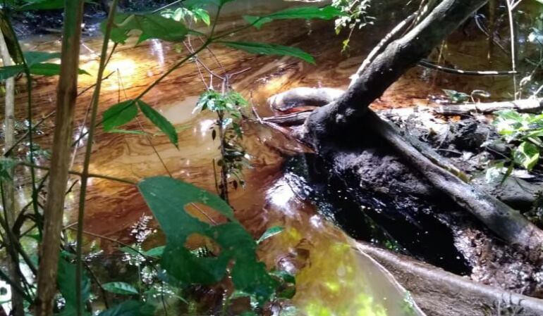 En el Catatumbo se registra la mayor afectación