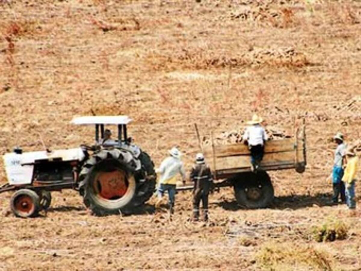 Hay un 50 por ciento de probabilidad de que haya sequía en el país, dice el Gobierno