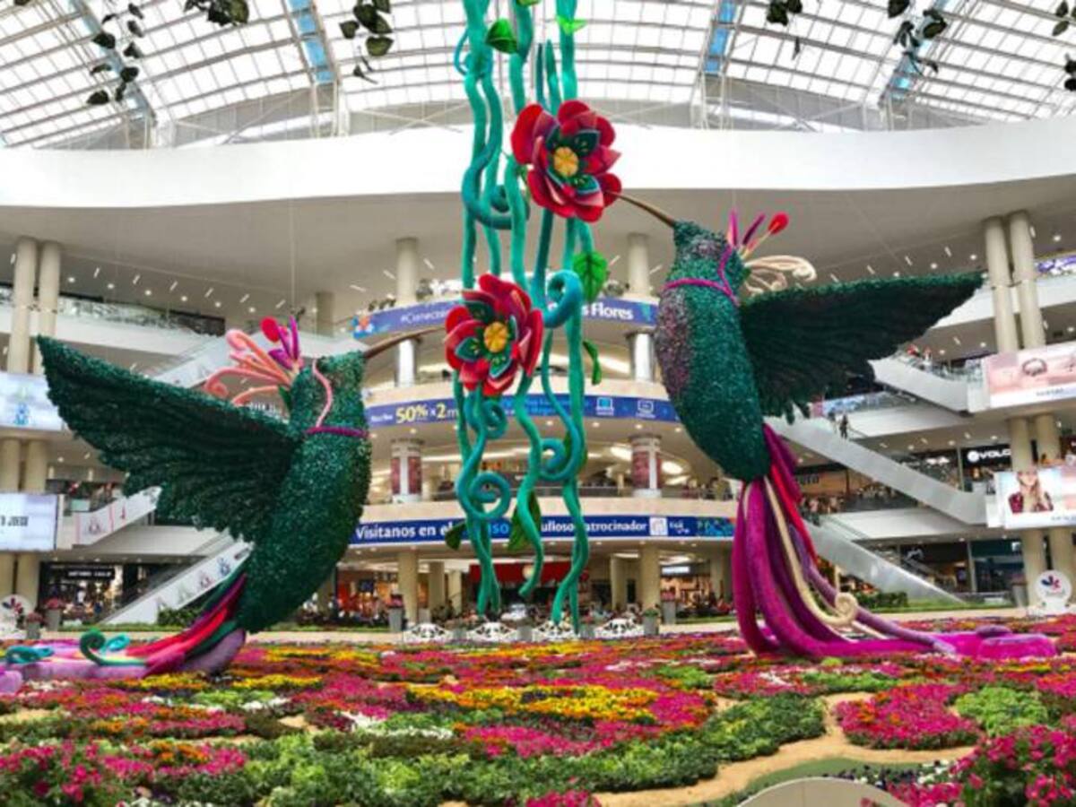 Dos colibríes de flores adornan el tradicional tapete del CC Santafé