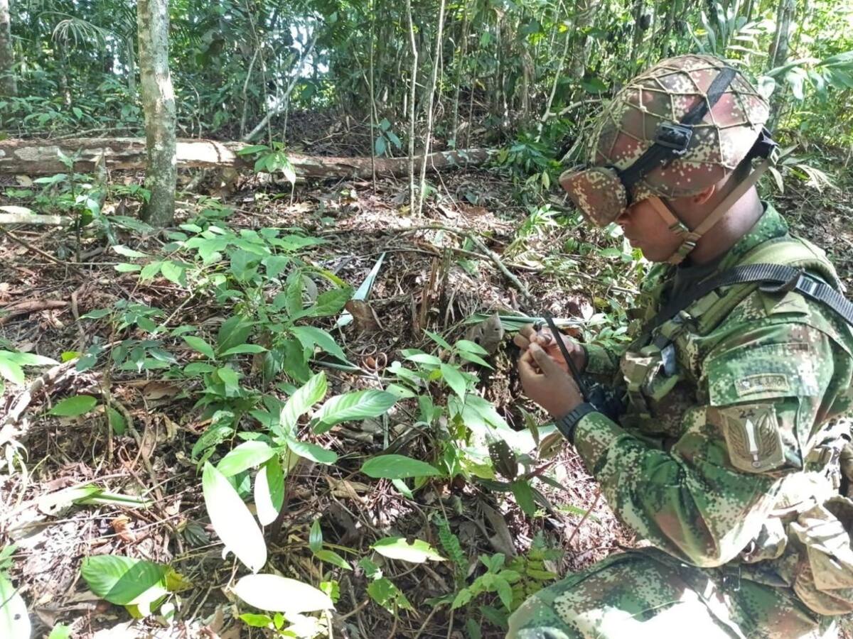 En Cáceres destruyeron un campo con más de 20 explosivos improvisados
