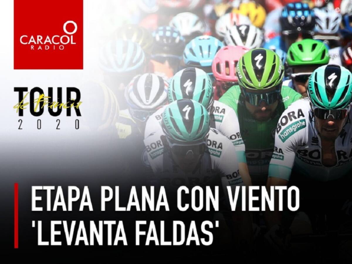 La Polla de Piolín: Día 7, nueva jornada para embaladores