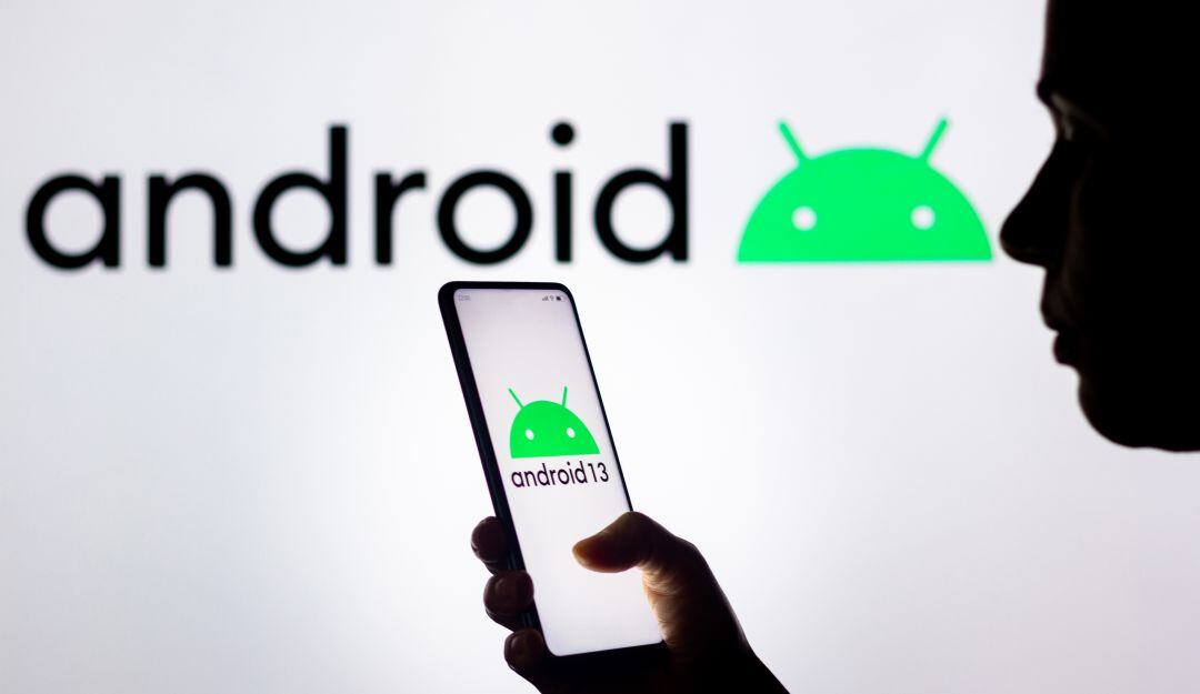 Imagen de referencia 