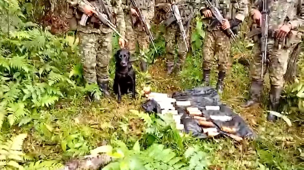 Serian utilizados en atentados contra unidades del Ejército. Foto Ejercito Caquetá.