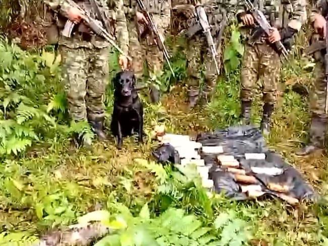 Serian utilizados en atentados contra unidades del Ejército. Foto Ejercito Caquetá.
