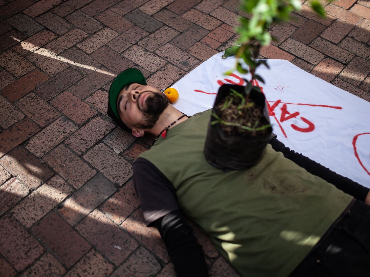 En peligro de extinción: esta es la situación de los líderes ambientales en América Latina