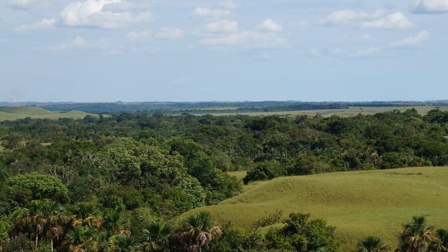 Imagend e referencia: restitución de tierras de la comunidad Jiw del resguardo La María, en San José del Guaviare.. Foto: Colprensa