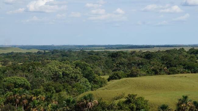 Imagend e referencia: restitución de tierras de la comunidad Jiw del resguardo La María, en San José del Guaviare.. Foto: Colprensa