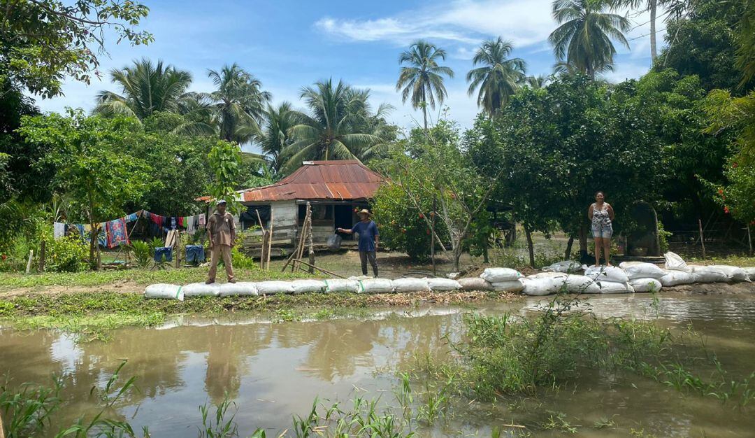 Algunas personas reportan pérdidas de sus cosechas. La situación más crítica se presenta en San Estanislao de Kostka
