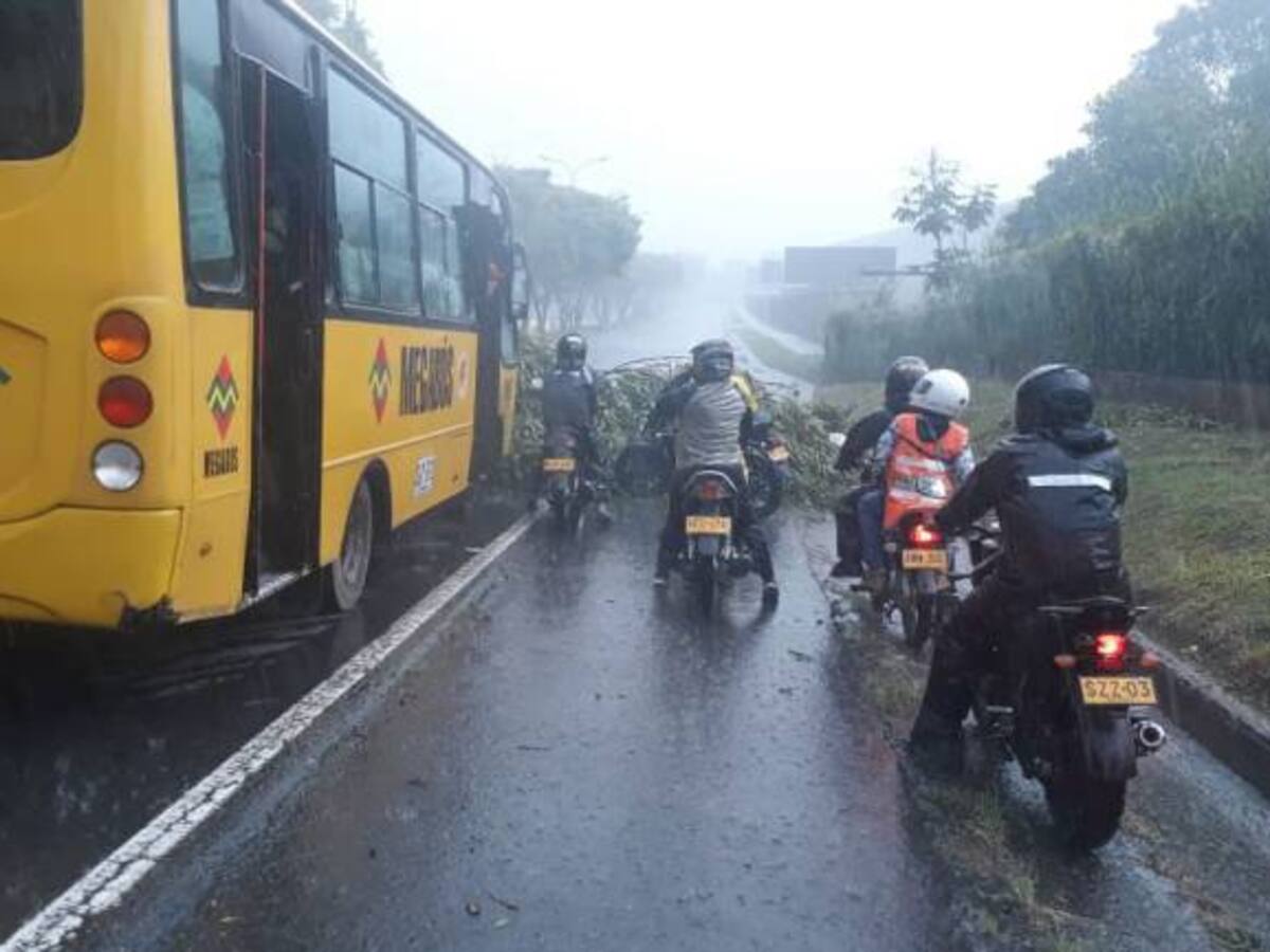 Aguacero con vendaval destechó viviendas y volvió a causar daños al Estadio