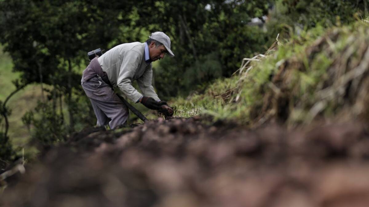 Más de 9 billones de pesos en inversiones para el campo anuncia el Gobierno