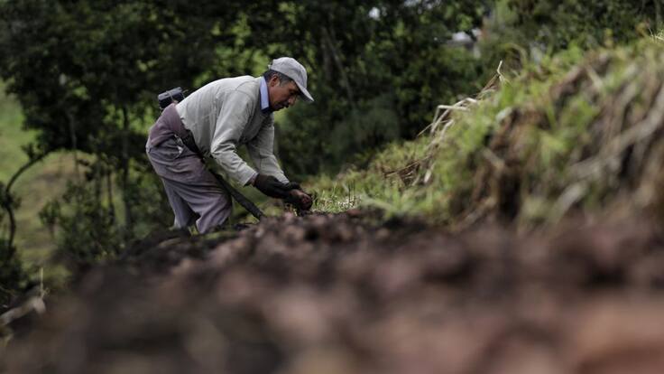 Plan rescate para los agricultores afectados por el invierno