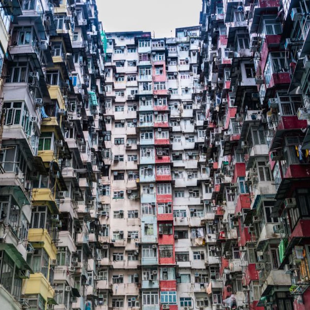 2022: el año en que la tierra llegará a los 8000 millones de habitantes