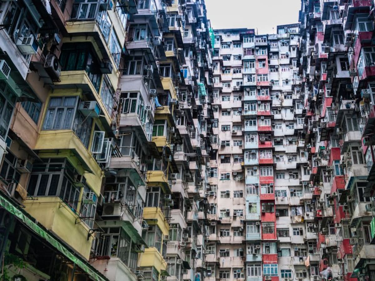 2022: el año en que la tierra llegará a los 8000 millones de habitantes