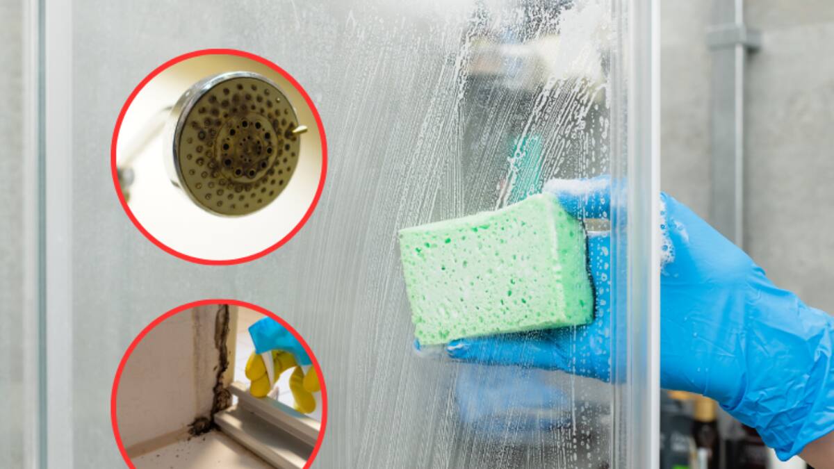 ¿Qué son y cómo quitar las manchas negras de la silicona de la ducha? Truco definitivo