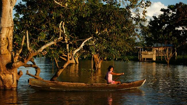 Imagen referencia. Foto: Colprensa.