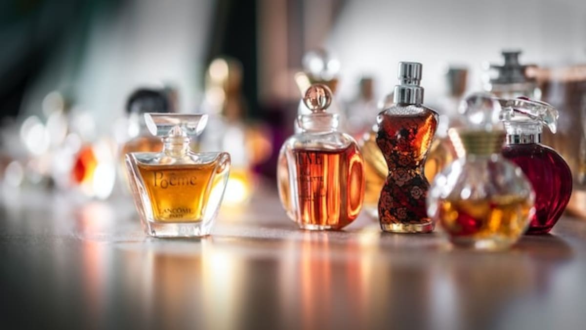 ¿Cómo elegir un perfume para hombre? Todo lo que debe tener en cuenta
