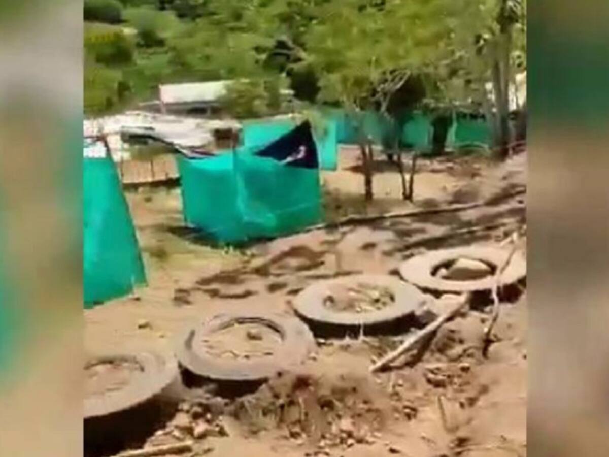 Tala masiva de árboles para invasiones en Rincón de La Paz