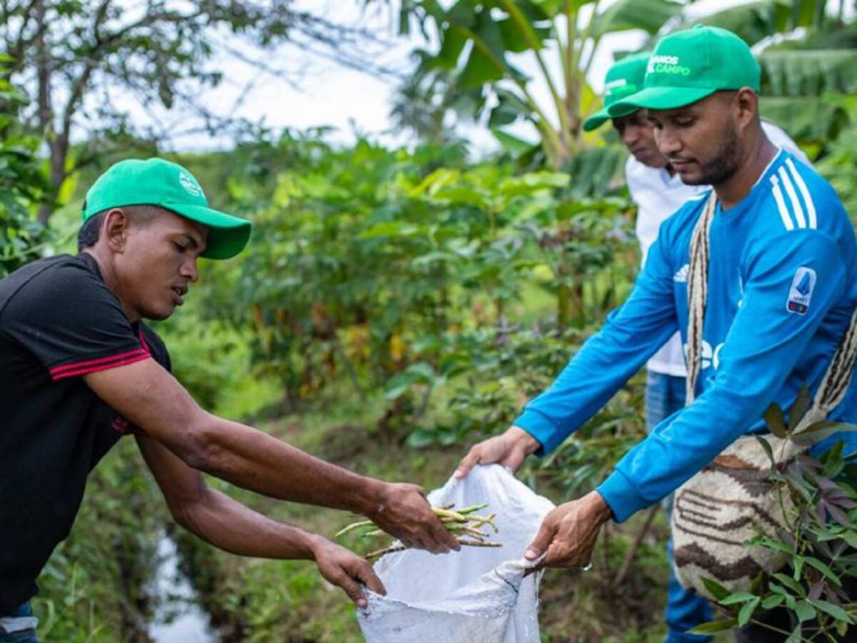 Más de 400 familias campesinas se reactivan con apoyo de Promigas