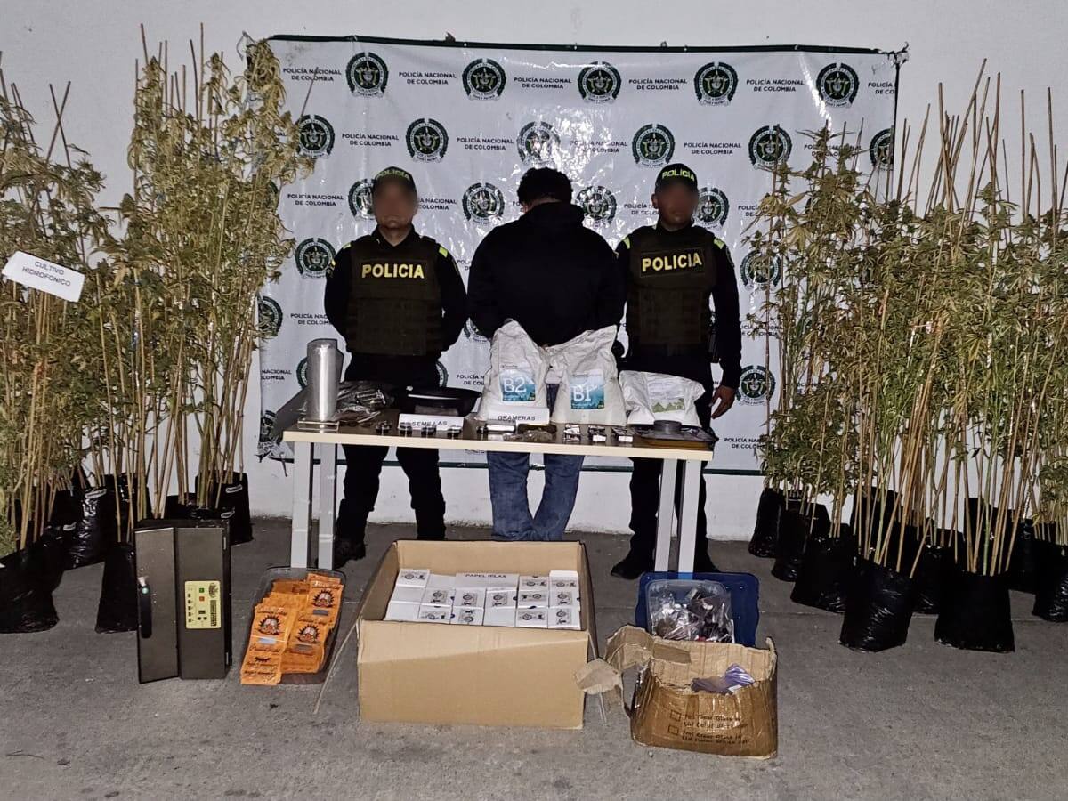 La policía capturó un hombre que, supuestamente, producía y procesaba marihuana en su casa