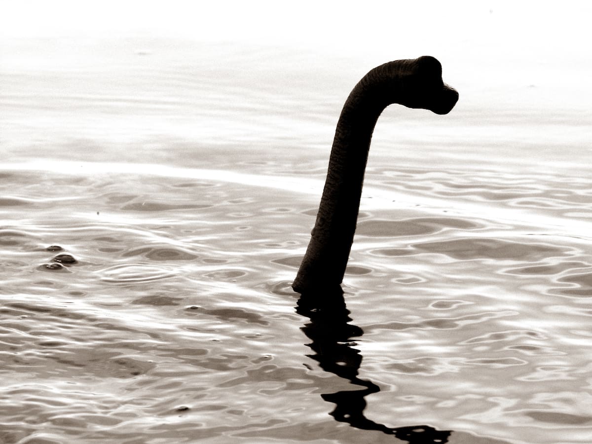 Encontraron al “bebé” del monstruo del Lago Ness en una playa desierta