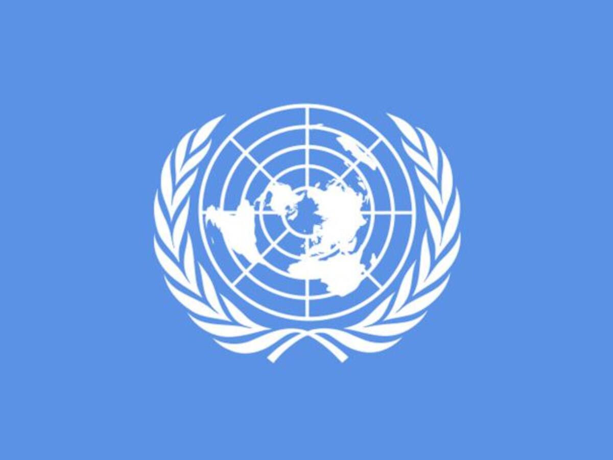 ONU pidió a gobierno y ELN definir prórroga del cese bilateral antes finalizar el año