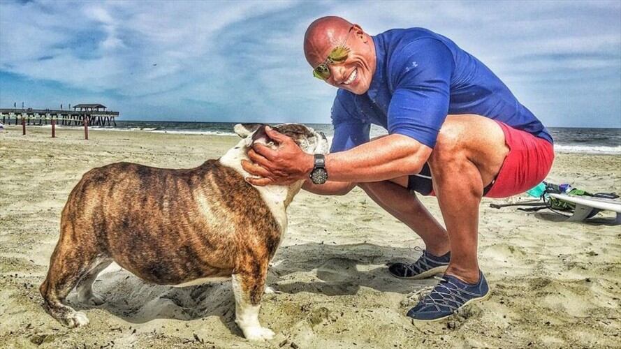 . Foto: Facebook / Dwayne The Rock Johnson