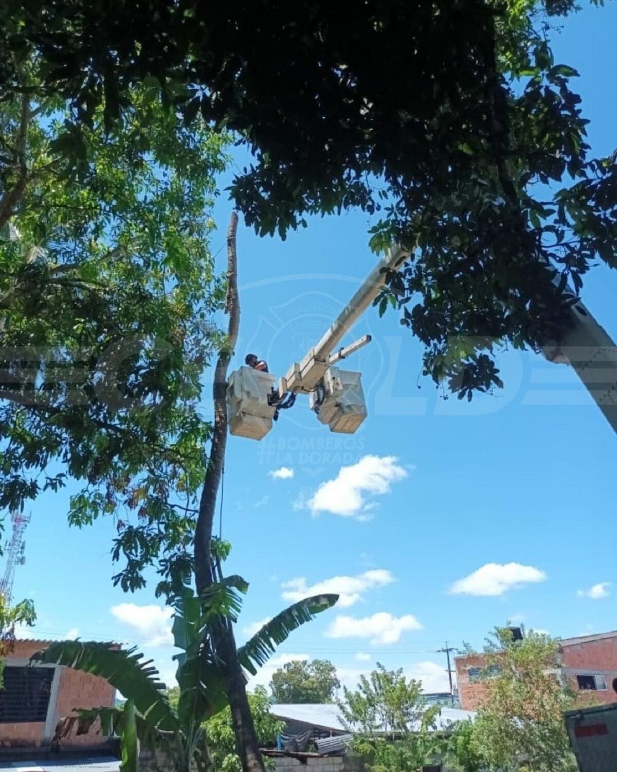 Crédito: Bomberos de La Dorada, Caldas.