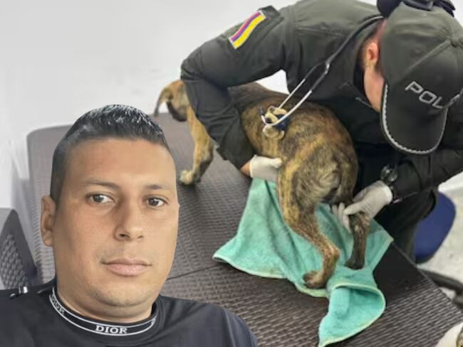 Fernando Oviedo, hombre que golpeó fuertemente a un perro tras entregarse en Antioquia