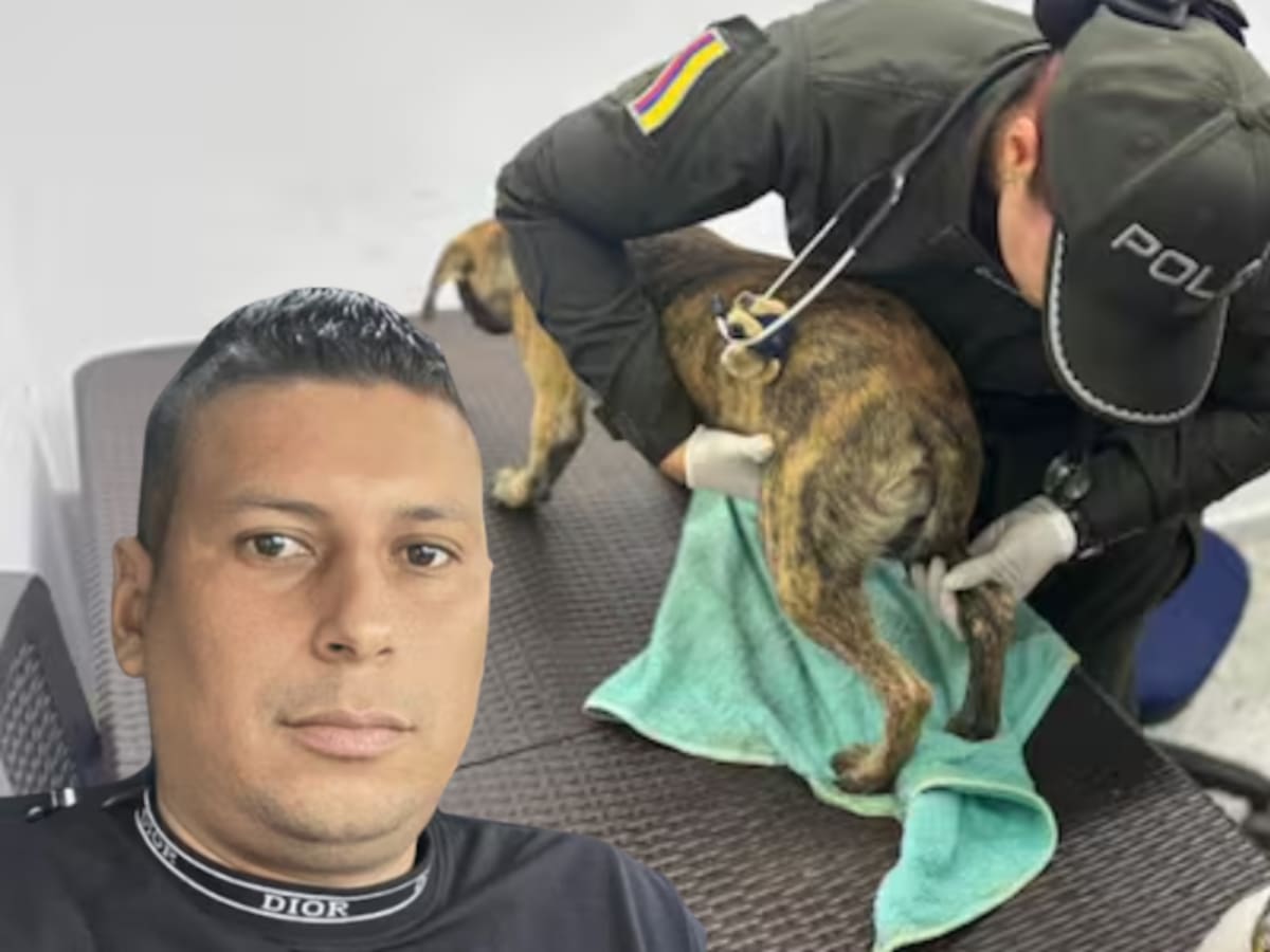 Judicializaron a Fernando Oviedo, el hombre que golpeó brutalmente a un perrito en Bolívar