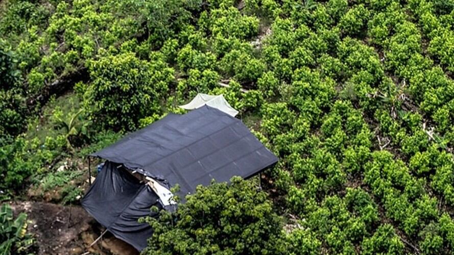 Aumentan los homicidios en regiones donde se produce cocaína. Foto: Colprensa