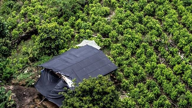Aumentan los homicidios en regiones donde se produce cocaína. Foto: Colprensa