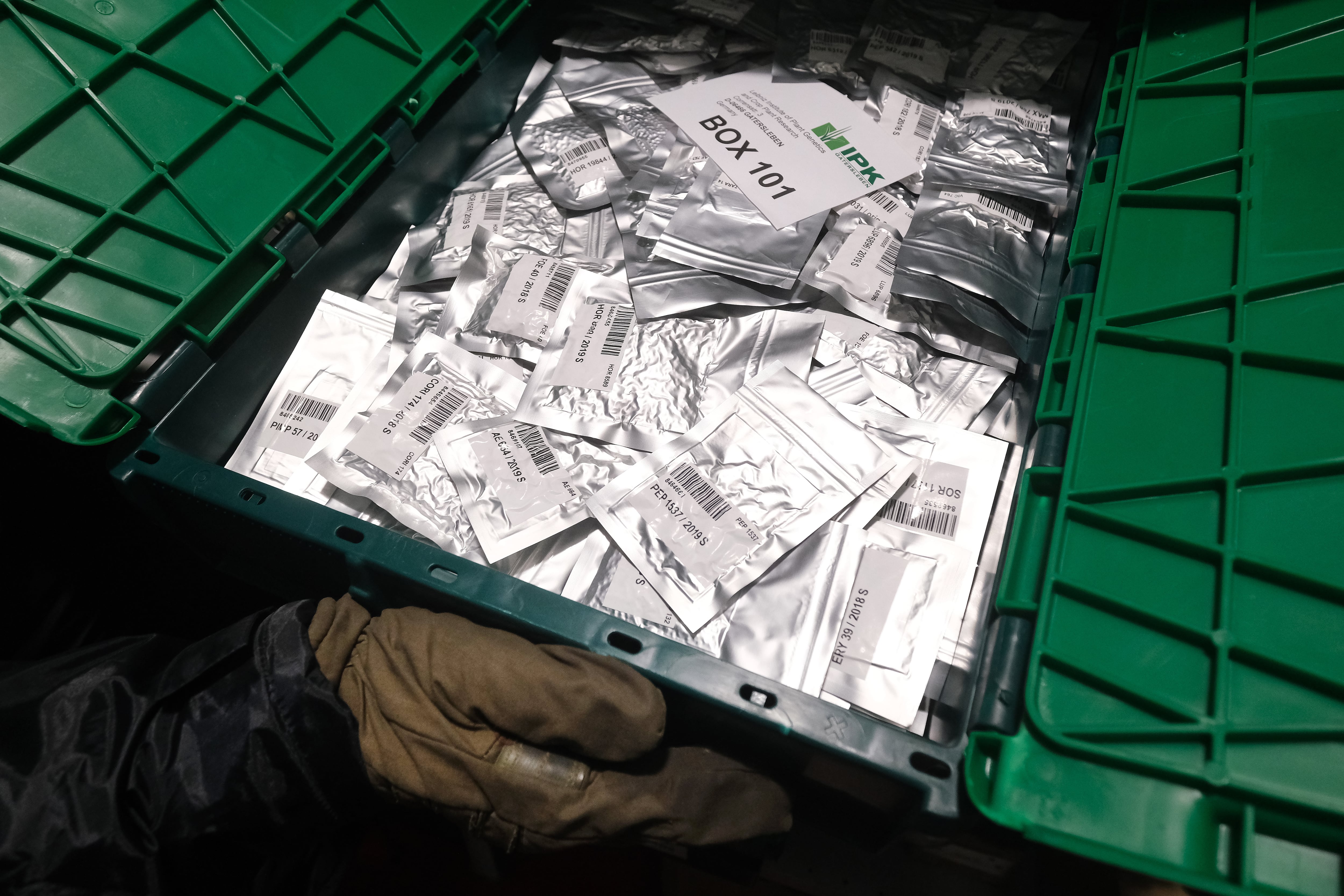 Así se almacenan las semillas, en paquetes plateados. Fotos: Getty Images.