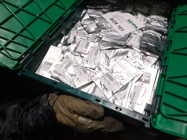 Así se almacenan las semillas, en paquetes plateados. Fotos: Getty Images.