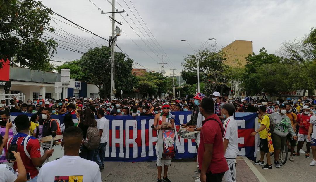 Garra samaria norte. 